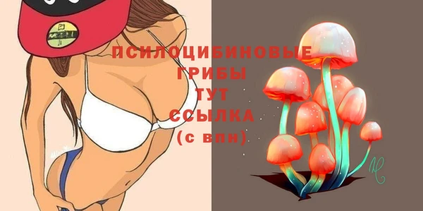 не бодяженный Михайлов