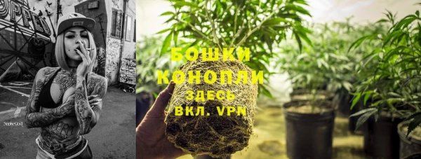 не бодяженный Михайлов