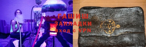 индика Вяземский